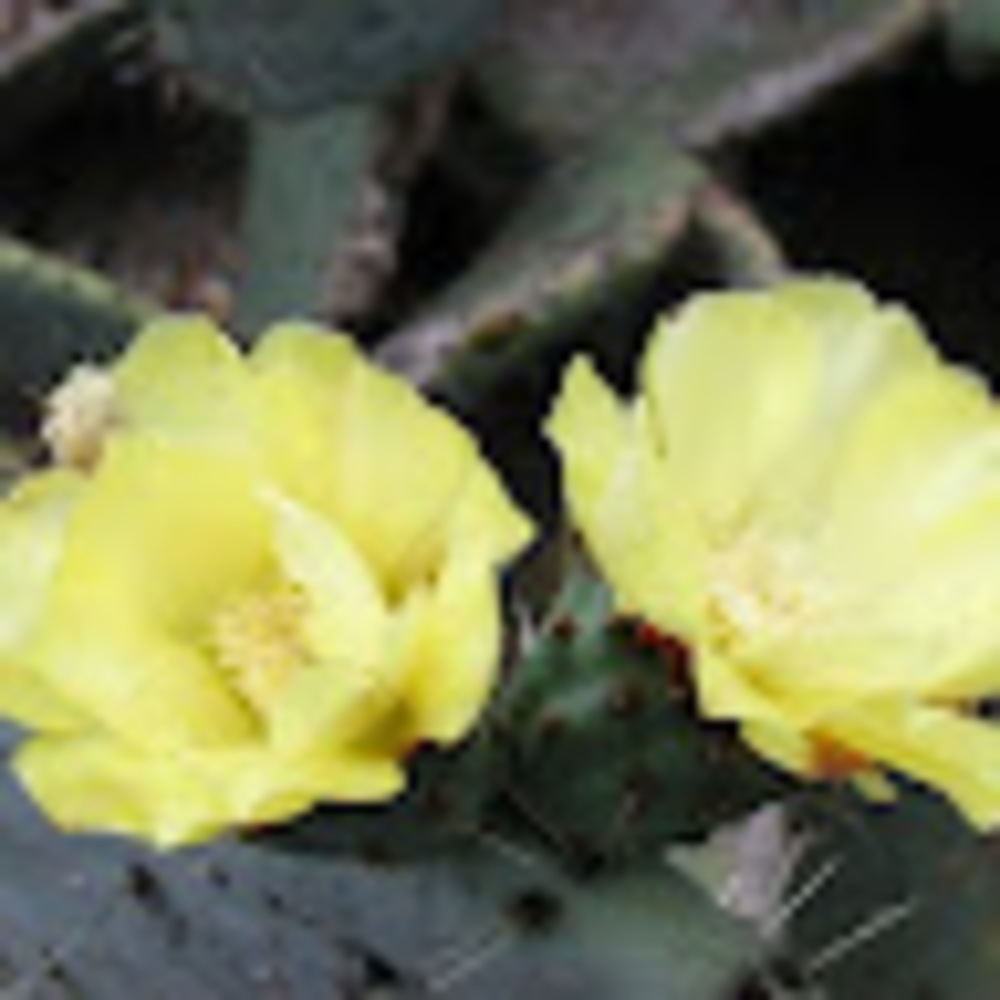 Meet your Posher, K.